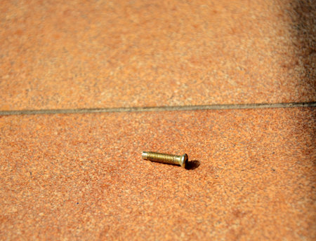 photo of a screw on the floor.