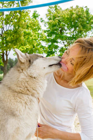 A girl in nature with a husky dog in sunny weatherの写真素材