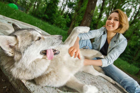 A girl in nature with a husky dog in sunny weatherの写真素材