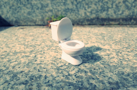 Western-style rest room, toilet