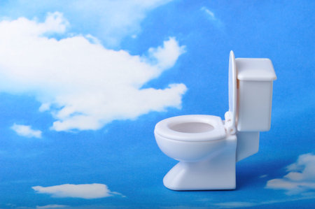 Western-style rest room, toilet