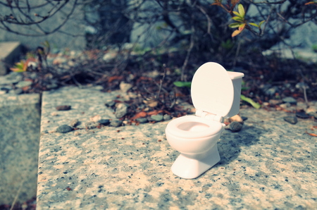 Western-style rest room, toiletの写真素材