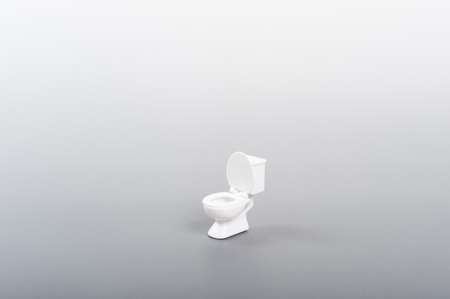 Western-style rest room, toiletの写真素材