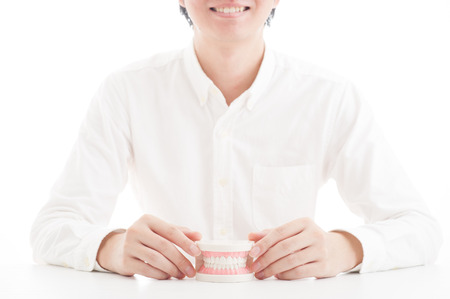 Model of the teethの写真素材