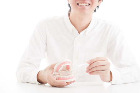 Model of the teethの写真素材