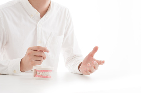 Model of the teethの写真素材