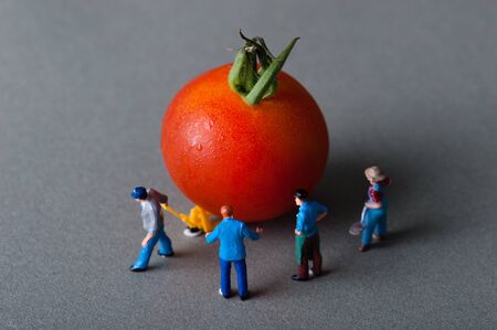 Human figurines carry tomatoの写真素材