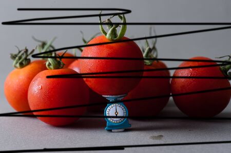 Tomatoの写真素材