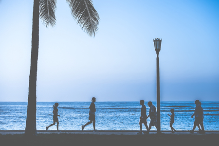 People silhouette, tree and palmの写真素材