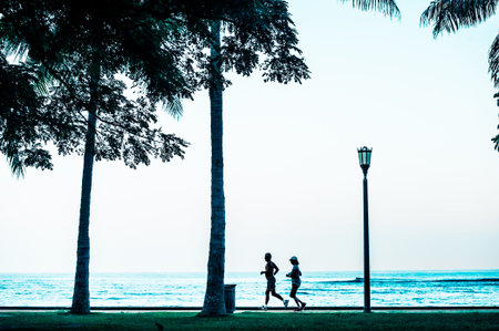 People silhouette, tree and palmの写真素材
