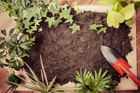 Gardeningの写真素材