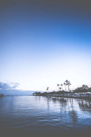 Palm trees and sunset, Hawaii,の写真素材