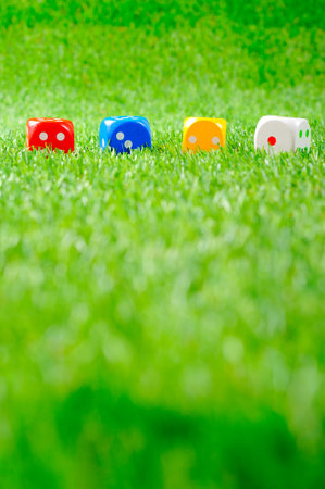 Dice