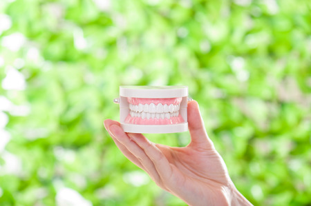 Dental imageの写真素材