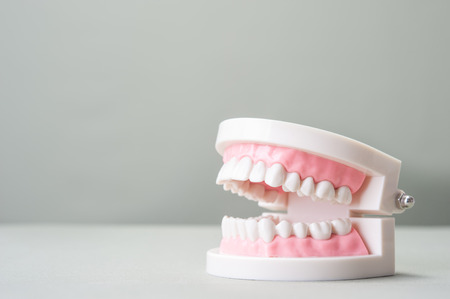 Dental imageの写真素材