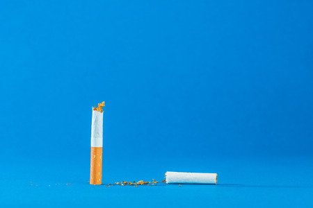 Tobacco, blue backgroundの写真素材