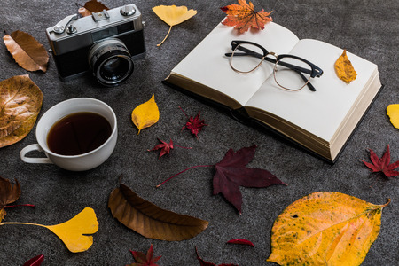 Reading and falling leavesの写真素材