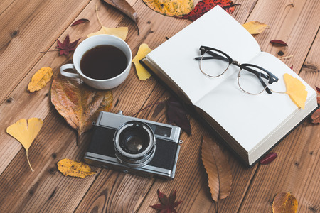 Reading and falling leavesの写真素材