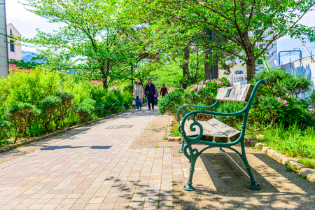 Flower path, green tunnelの写真素材