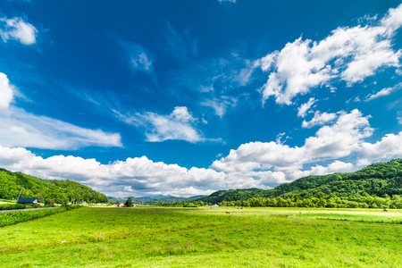Grassland and blue skyの写真素材
