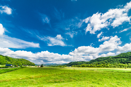 Grassland and blue skyの素材 [FY31081371851]