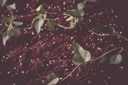 Leaves on the ground background