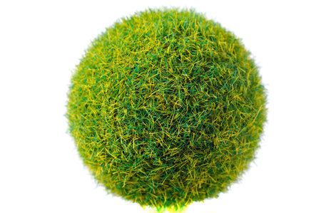 Close up of green leavesの写真素材