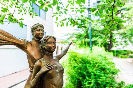 flower avenue in Takarazuka Japanの写真素材