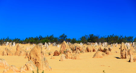 Australia Pinnacles