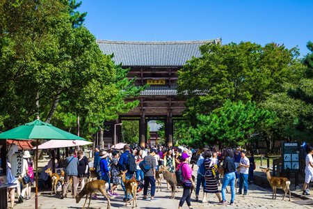 Nara, Japan - September 21, 2017: TÅdai-ji is a Buddhist temple complex that was once one of the powerful Seven Great Temples, located in the city of Nara, Japan. Its Great Buddha Hall (Daibutsuden) houses the world's largest bronze statue of the Buddha.のeditorial素材