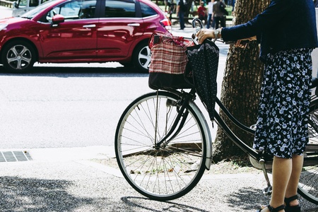 NARA, Japan-September 21, 2017: Nara is the capital city of Nara Prefecture located in the Kansai region of Japan. The city occupies the northern part of Nara Prefecture, bordering Kyoto Prefecture.のeditorial素材