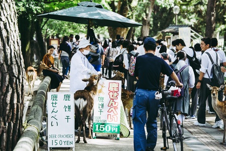 NARA, Japan-September 21, 2017: Nara is the capital city of Nara Prefecture located in the Kansai region of Japan. The city occupies the northern part of Nara Prefecture, bordering Kyoto Prefecture.のeditorial素材