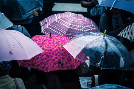 People across the crosswalk on a rainy day