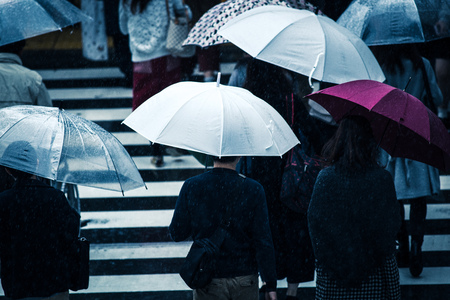 People across the crosswalk on a rainy dayの写真素材