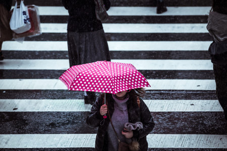 People across the crosswalk on a rainy dayの写真素材