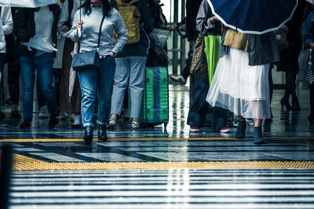 People across the crosswalk on a rainy dayのeditorial素材