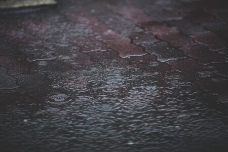 Puddlesの写真素材