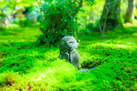 Jizo and green garden