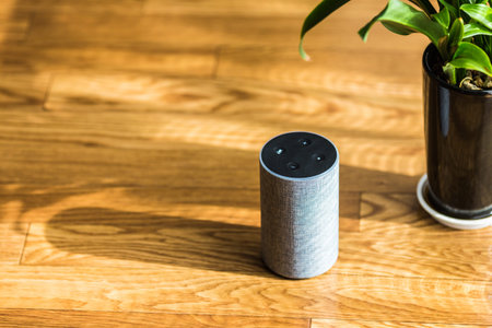 Electronic equipment smart speaker