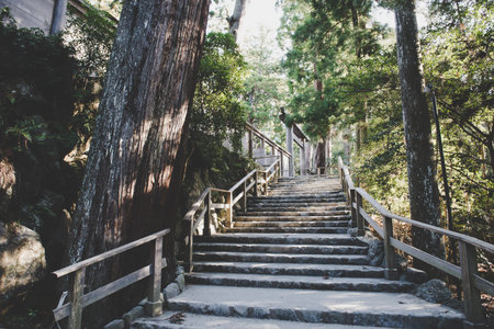 Mie, Japan - December 14, 2017: Ise Jingu is the shinto shrine. Located in Ise city, Mie Prefecture,...