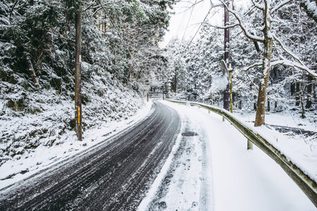 snow road at Japanの写真素材