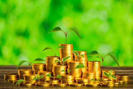 gold coins and growing plantsの写真素材