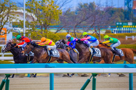 Hyogo,Japan - February 25, 2018: Hanshin Horse Racing course in Takarazuka Hyogo,Japan.Races held every Saturday and Sunday even on major holidays.のeditorial素材