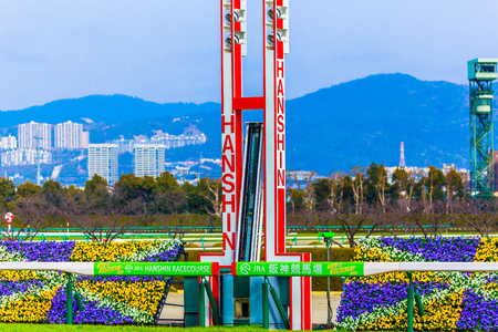 Hyogo,Japan - February 25, 2018: Hanshin Horse Racing course in Takarazuka Hyogo,Japan.Races held every Saturday and Sunday even on major holidays.のeditorial素材