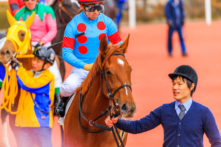 Hyogo,Japan - February 25, 2018: Hanshin Horse Racing course in Takarazuka Hyogo,Japan.Races held every Saturday and Sunday even on major holidays.のeditorial素材