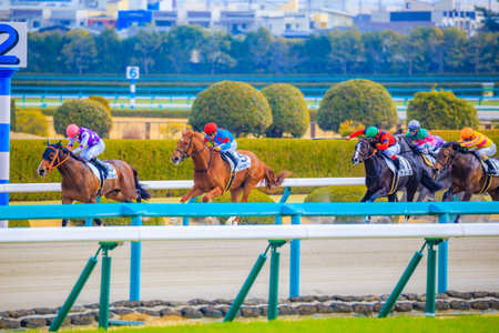 Hyogo,Japan - February 25, 2018: Hanshin Horse Racing course in Takarazuka Hyogo,Japan.Races held...