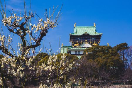 Osaka Castle in Japanのeditorial素材
