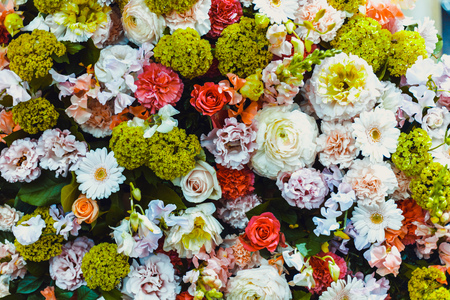 A lot of flower background imagesの写真素材