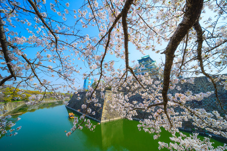 Osaka Castle and cherry blossomsのeditorial素材