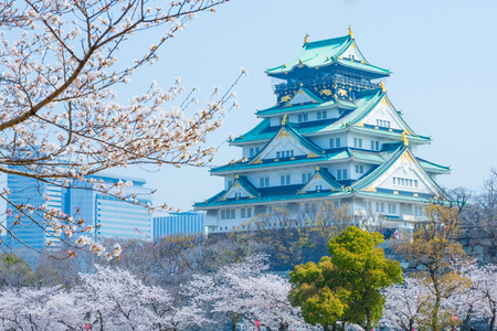 Osaka Castle and cherry blossomsのeditorial素材